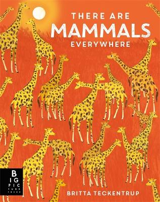 There are Mammals Everywhere book
