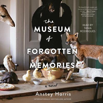 The Museum of Forgotten Memories by Anstey Harris
