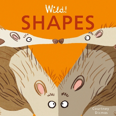 Shapes book