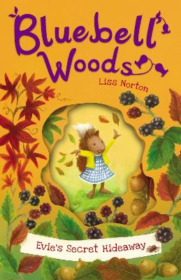 Evie's Secret Hideaway book
