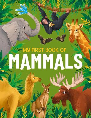 My First Book of Mammals: An Illustrated First Look at Mammals from Around the World book