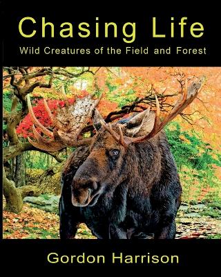 Chasing Life: Wild Creatures of the Field and Forest book