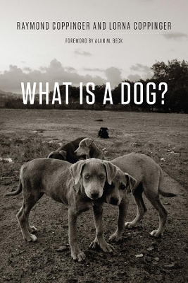 What is a Dog? by Raymond Coppinger