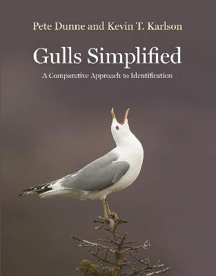 Gulls Simplified: A Comparative Approach to Identification book