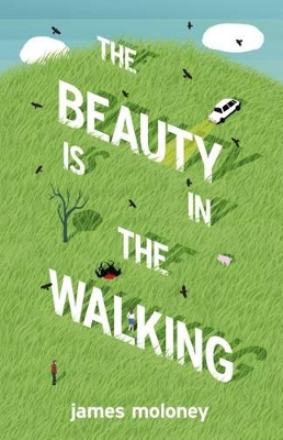 Beauty is in the Walking book