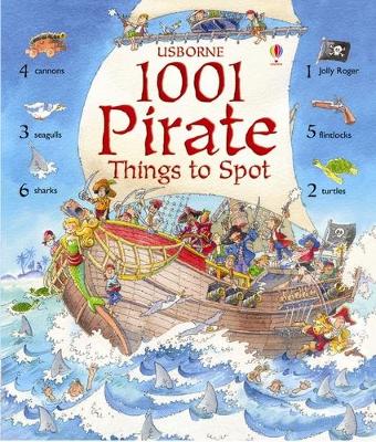 1001 Pirate Things to Spot book