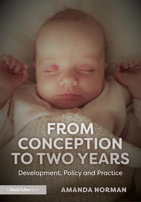 From Conception to Two Years: Development, Policy and Practice book