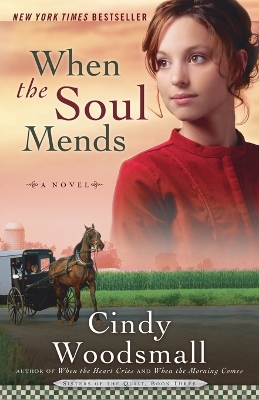 When the Soul Mends book