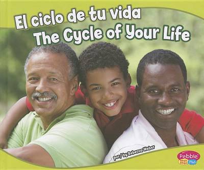 The Ciclo de Tu Vida/The Cycle Of Your Life by Rebecca Weber