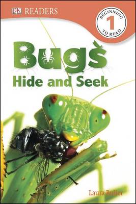 Bugs Hide and Seek by Laura Buller