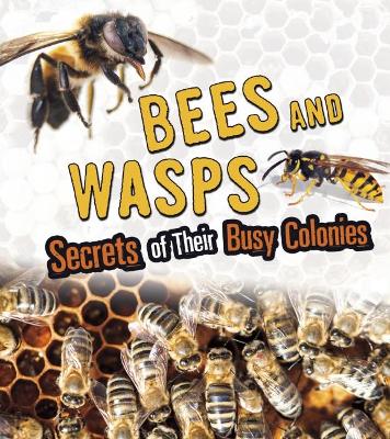 Bees and Wasps: Secrets of Their Busy Colonies by Sara L. Latta