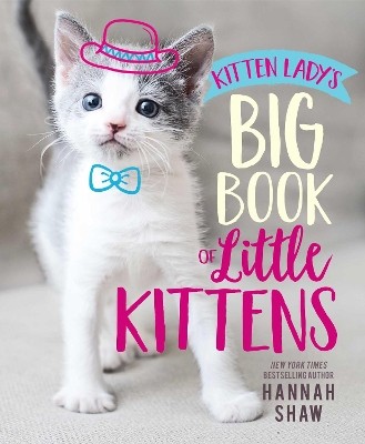 Kitten Lady's Big Book of Little Kittens book