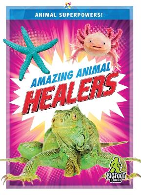Amazing Animal Healers book