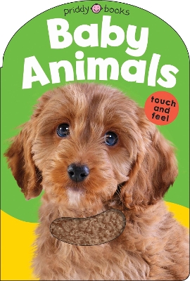 Baby Animals: Baby Touch & Feel book