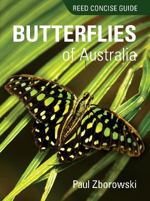 Reed Concise Guide to Butterflies of Australia: Reed Concise Guide book