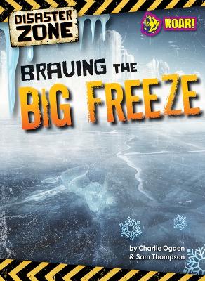 Braving the Big Freeze book