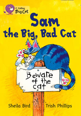 Sam and the Big Bad Cat by Sheila Bird