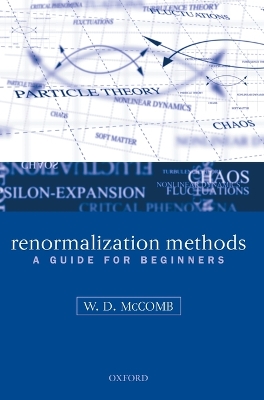 Renormalization Methods book