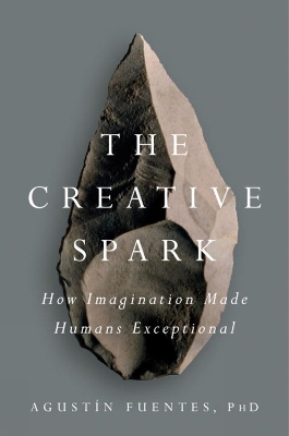 Creative Spark book