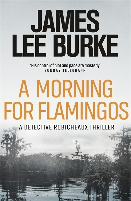 Morning For Flamingos book