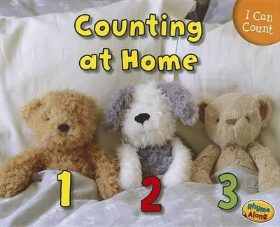 Counting at Home by Rebecca Rissman