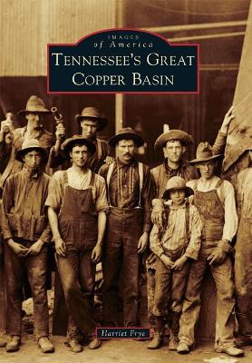 Tennessee's Great Copper Basin book