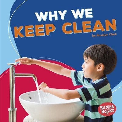 Why We Keep Clean book