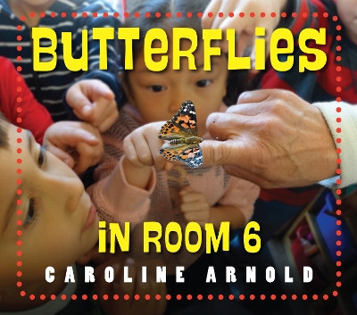 Butterflies in Room 6 book
