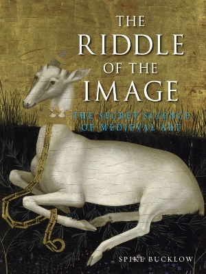 Riddle of the Image book