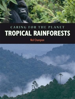 Rainforest book