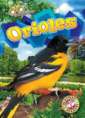 Orioles book