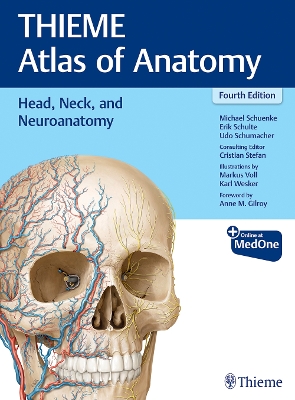 Head, Neck, and Neuroanatomy (THIEME Atlas of Anatomy) by Michael Schuenke