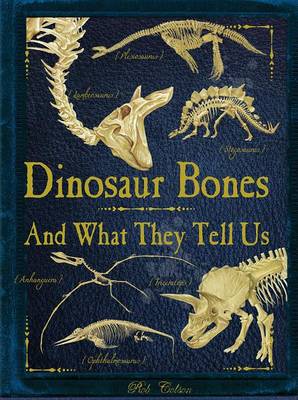 Dinosaur Bones by Rob Colson