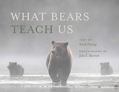 What Bears Teach Us book