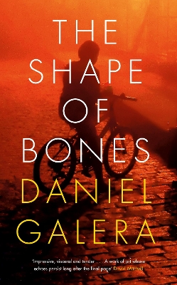 The Shape of Bones book
