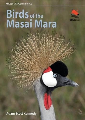 Birds of the Masai Mara book