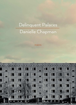 Delinquent Palaces book