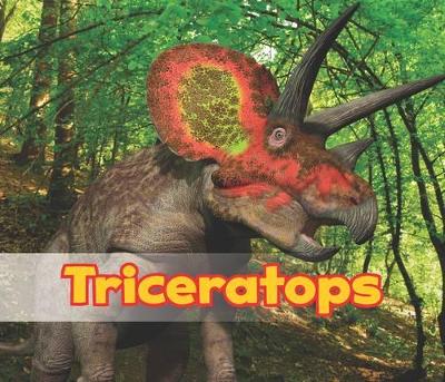 Triceratops by Daniel Nunn