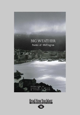 Big Weather: Poems of Wellington book