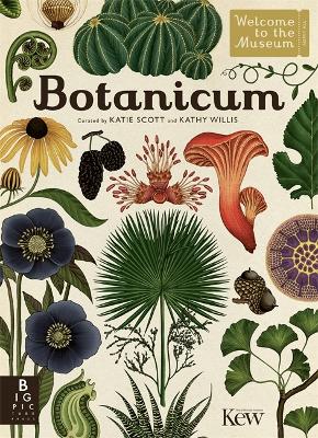 Botanicum by Kathy Willis