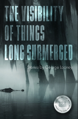 The Visibility of Things Long Submerged book