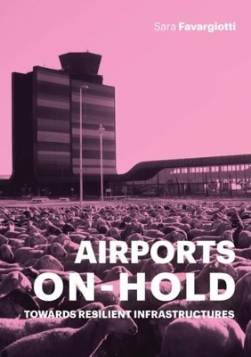 Airports on Hold book