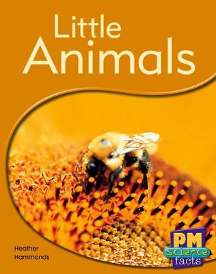 Little Animals book