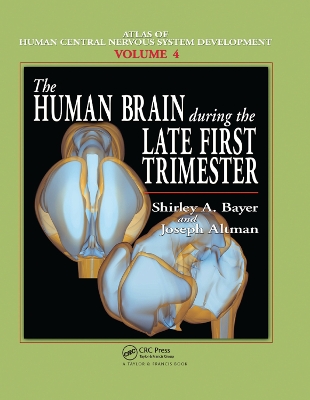 The Human Brain During the Late First Trimester book