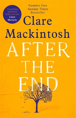 After the End: The powerful, life-affirming novel from the Sunday Times Number One bestselling author by Clare Mackintosh