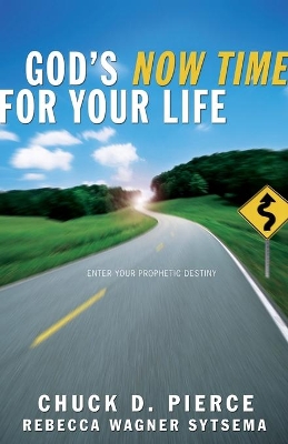 God's Now Time for Your Life book