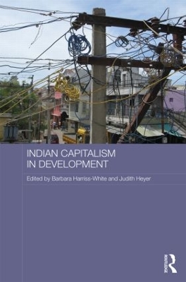 Indian Capitalism in Development by Barbara Harriss-White