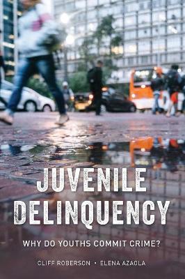 Juvenile Delinquency: Why Do Youths Commit Crime? book
