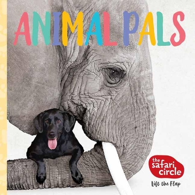Cuddly Crew: The Spotlight on Playful Primates book