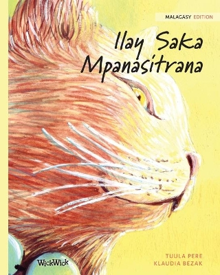 Ilay Saka Mpanasitrana: Malagasy Edition of The Healer Cat book